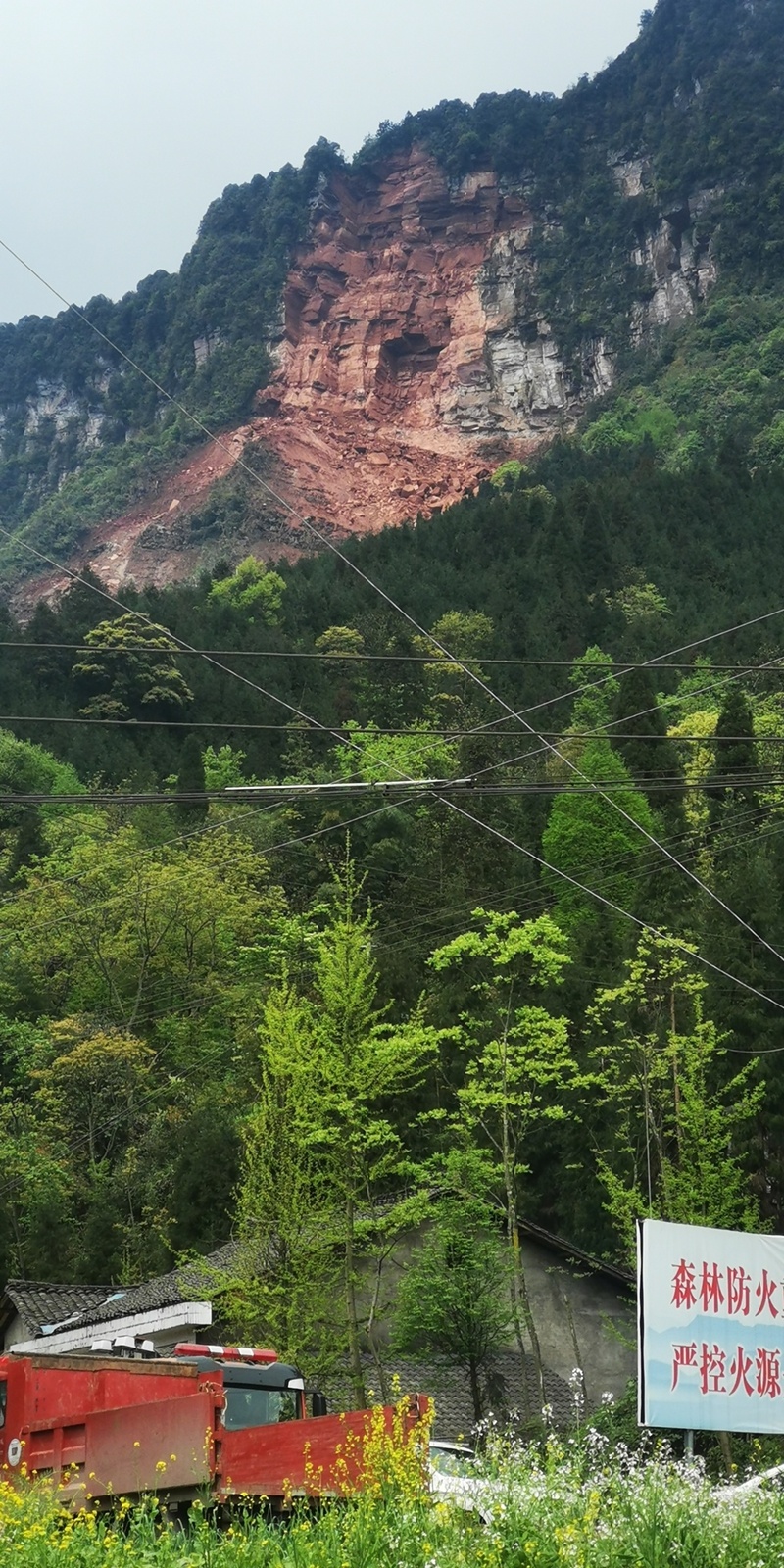 四川洪雅县铁匠湾山体崩塌：3人失联，其余68人安全转移