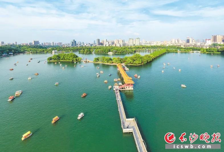 湖南烈士公园该不该“极限舞”？园方:纪念区禁止跳广场舞