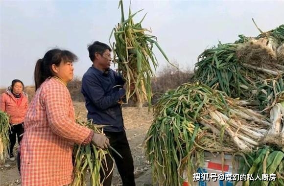 价格桎梏 摊主库存卖不出去 农民忙着下地收割 网友:能过年吗