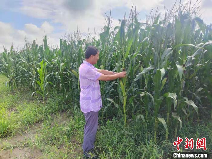 探索内蒙古东部农村“保姆式”土地托管新模式