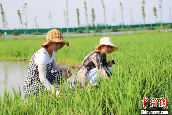 一江清水激活“生态经济”湖南河湖协同长治久安