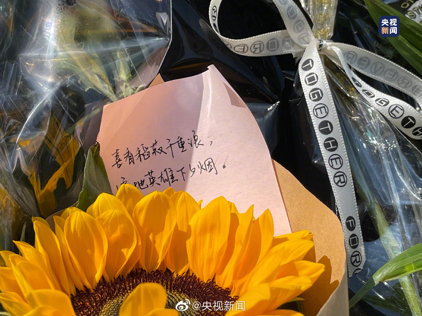 中国农民丰收节 西南大学袁隆平雕像开满鲜花