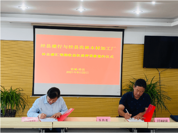 安徽省民营林业企业第一笔碳汇收益权抵押贷款落地宣城建行