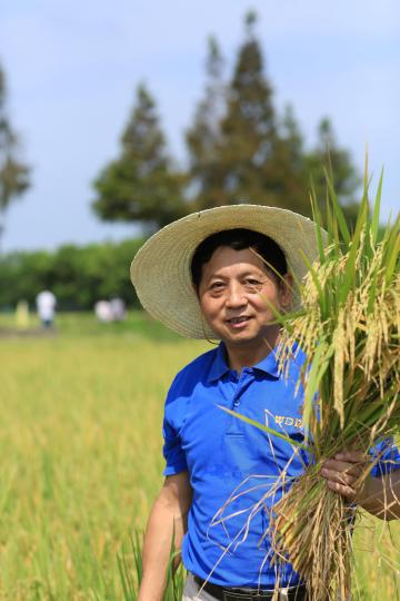 守护食品“芯片”上海科研人员致力于“节水抗旱水稻”育种20多年