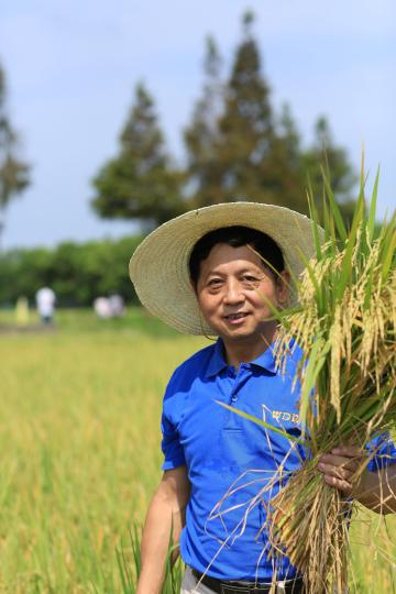 守护食品“芯片”上海科研人员致力于“节水抗旱水稻”育种20多年