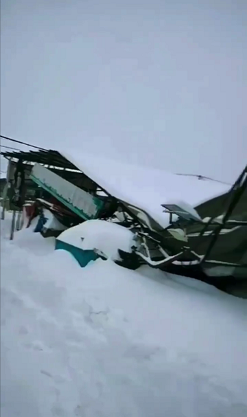 受降雪影响 辽宁鞍山一农贸市场坍塌 多辆车辆被砸