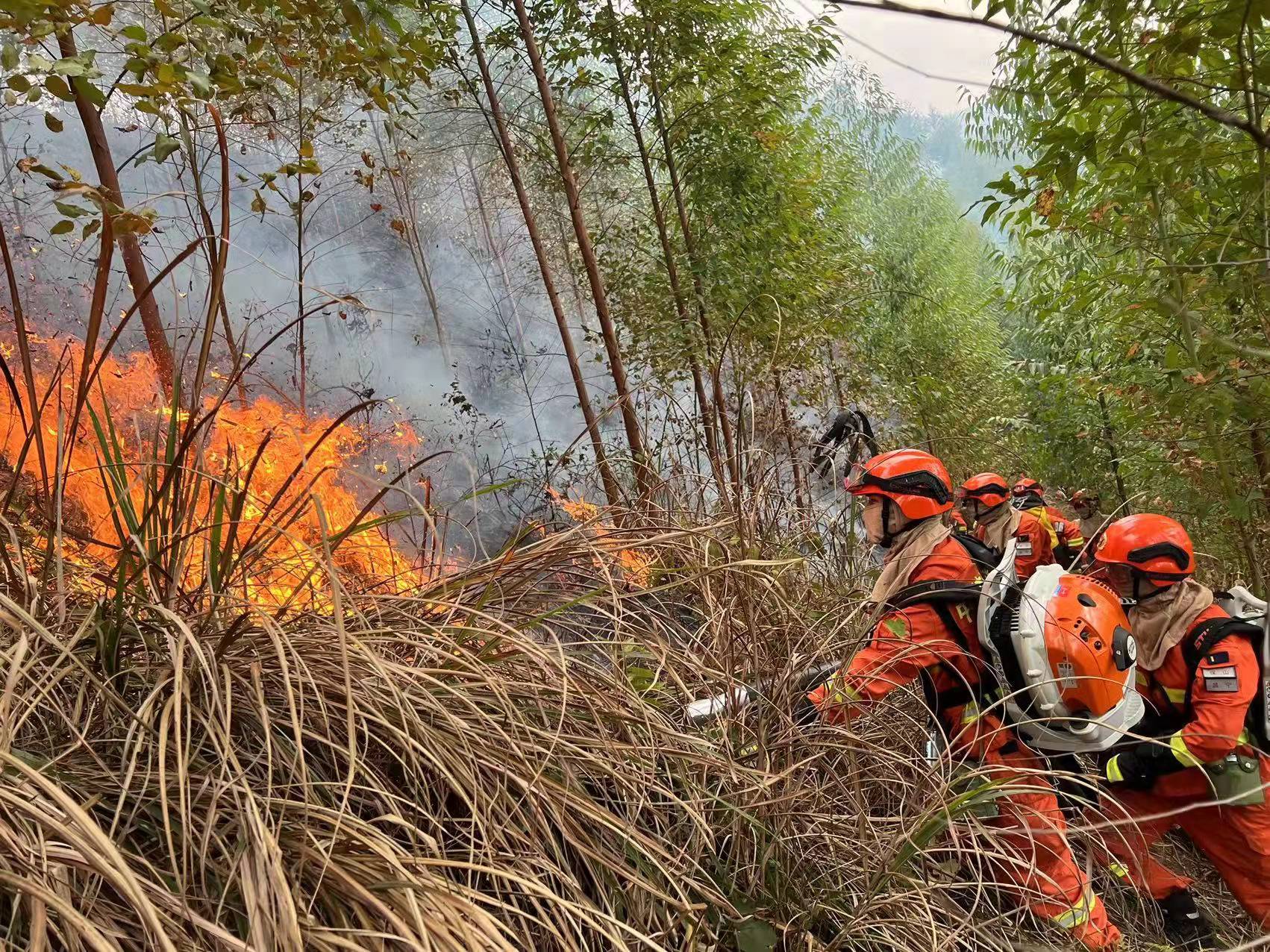 广西梧州突发森林火灾:火势总体可控 起火原因正在核实中