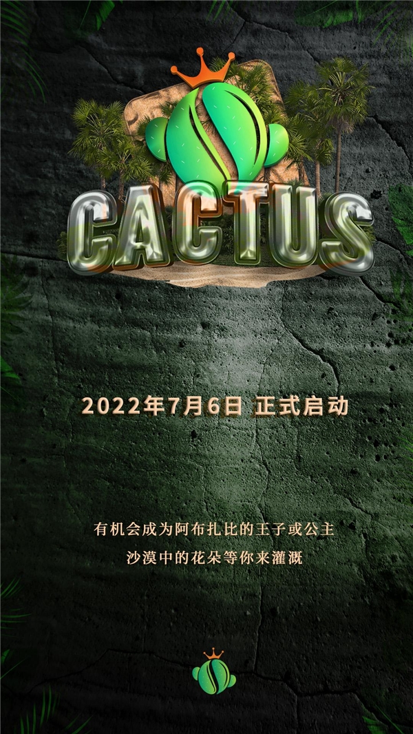 全球经济衰退期间，CACTUS刮起一阵旋风 凭借着实力推动慈善教育事业