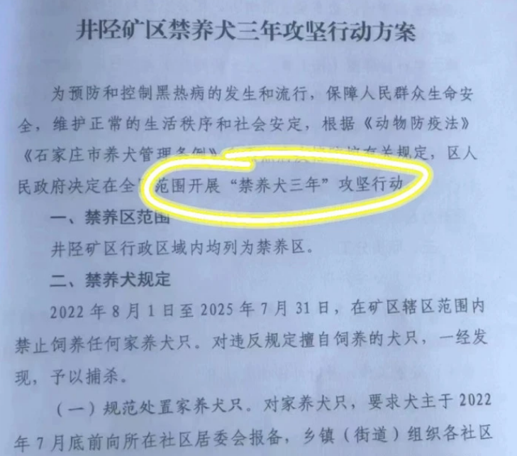 河北石家庄一区拟推行“禁养犬三年” 官方：为防黑热病，还在研判