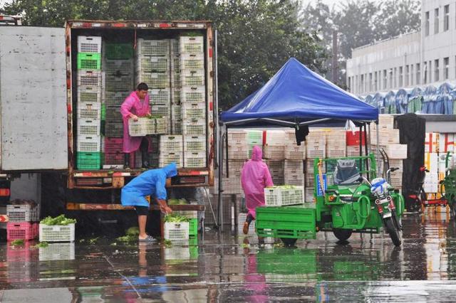 北京新发地市场价格平稳 今日上市量2.01万吨保障“菜篮子”