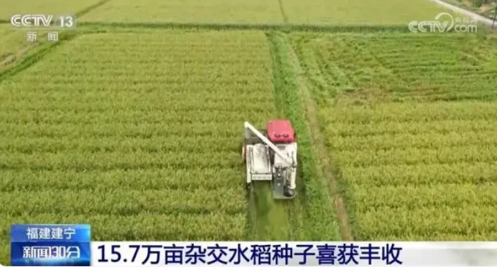 五谷丰登粮满仓 全国多地秋种忙