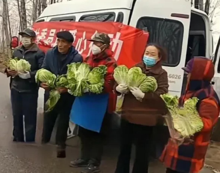 河南一地疑让老人寒风中捧白菜摆拍