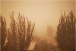 新疆特强沙尘暴:天空赤橙像异世界