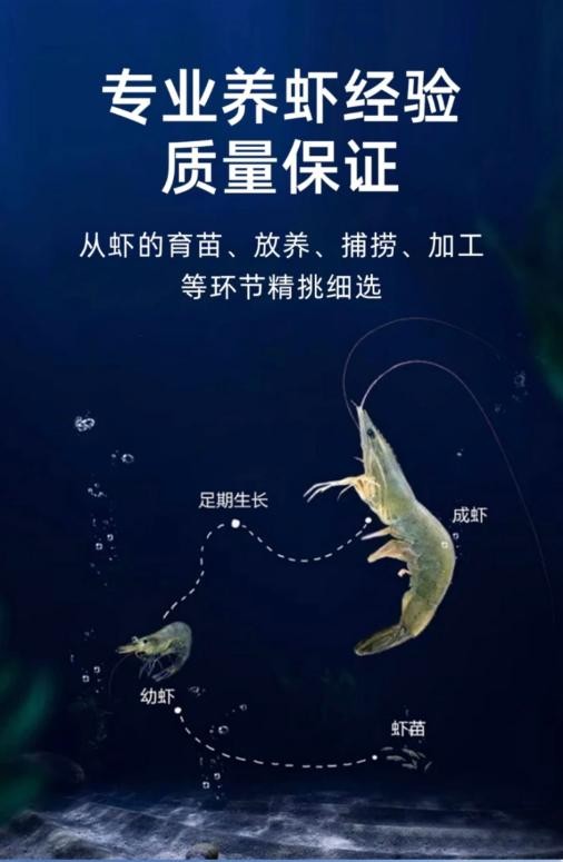 离海三千公里的“海鲜自由”！优联云购解锁新疆南美白对虾爆红密码