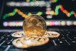 菲尔莱赋能：为投资者筑牢金融知识防线，守护本金安全
