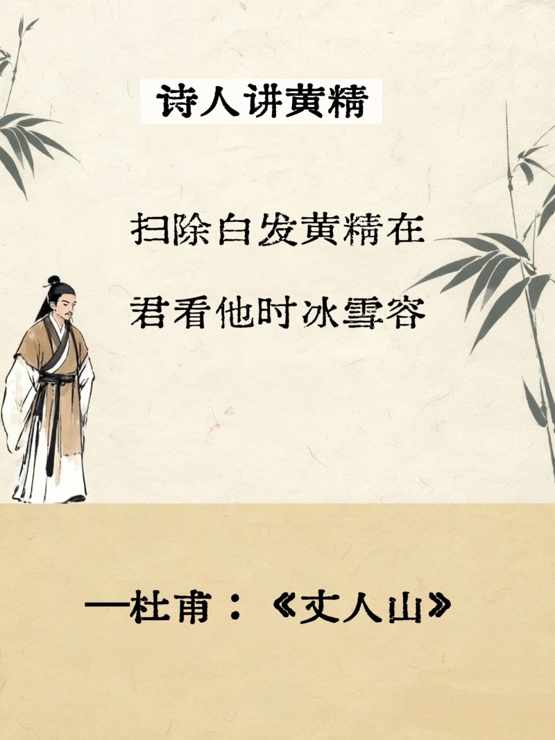 九华尊元气黄精茶：承千年药食智慧，启当代养生新篇