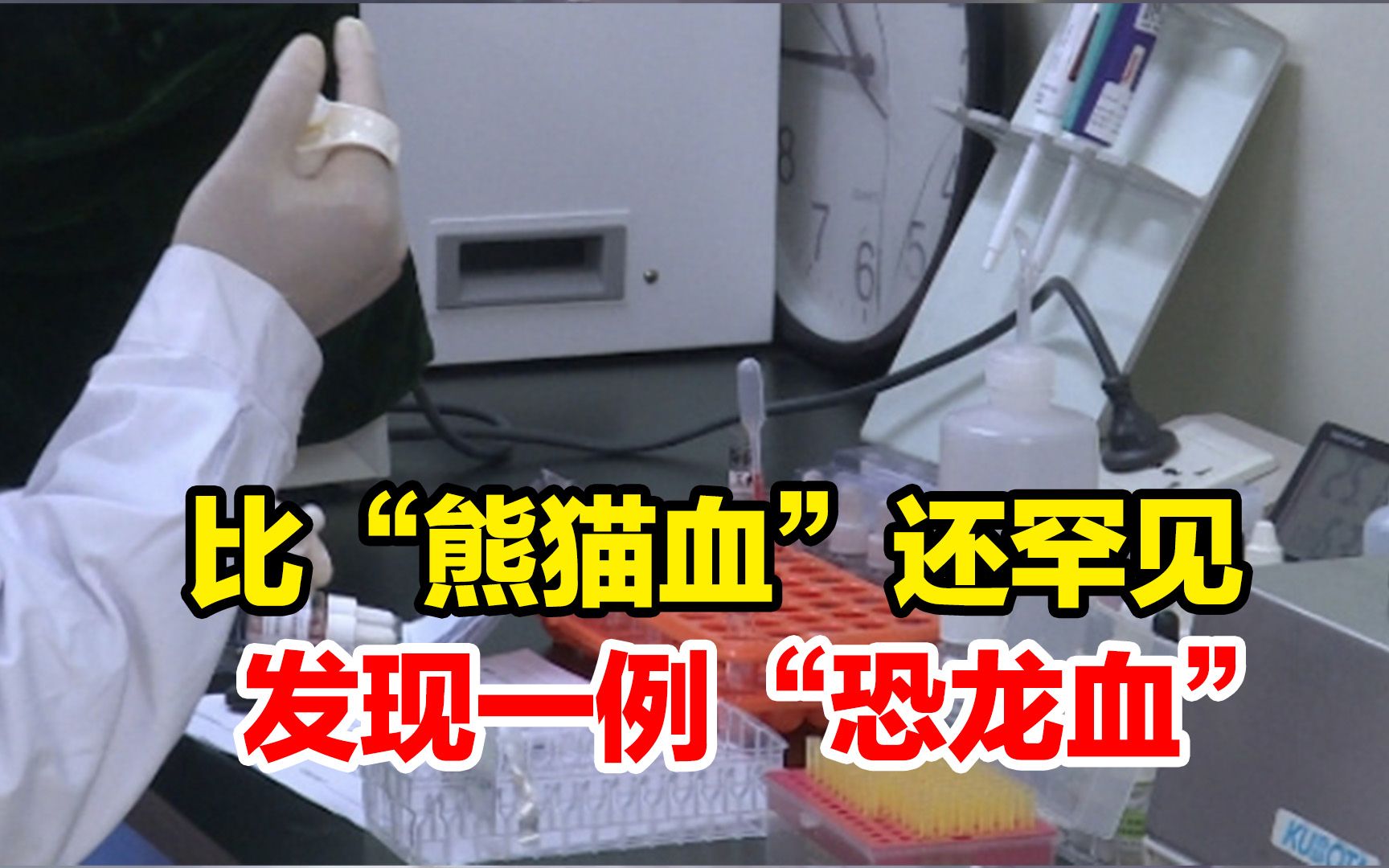 浙江发现一例稀有“恐龙血”