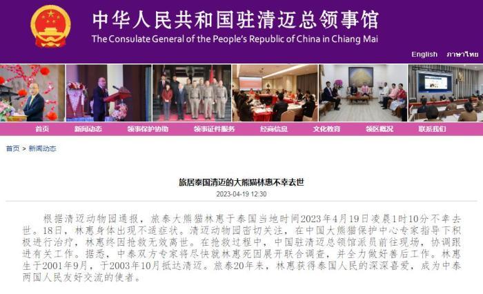 旅泰大熊猫“林惠”离世 网友哀悼：“回到