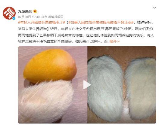 年轻人给芒果核梳毛被指不务正业：养芒果核