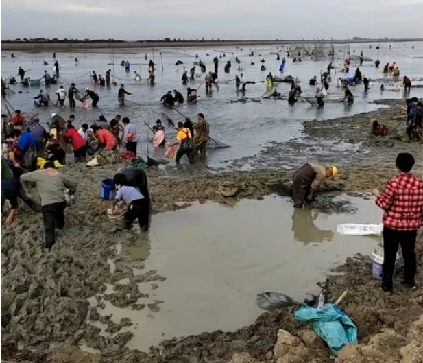 安徽一湖水位大降引万人“守株待鱼” 市民