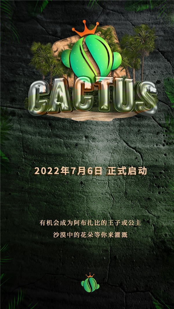 全球经济衰退期间，CACTUS刮起一阵旋