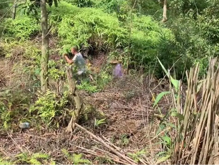 广西藤县2岁男童失踪超48小时 有网民称