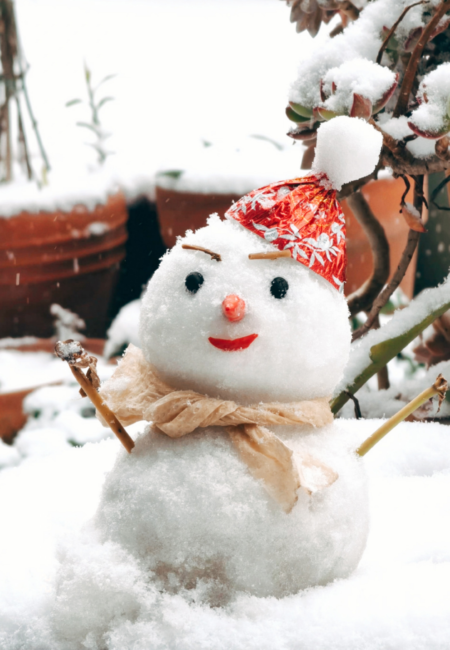 春城昆明市民朋友圈现雪景 当地已启动冰冻