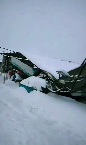 受降雪影响 辽宁鞍山一农贸市场坍塌 多辆