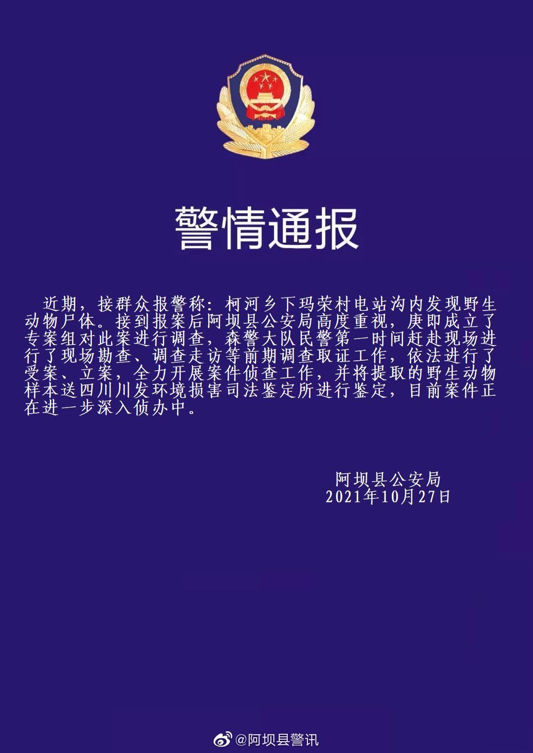 两只一级保护动物疑似被偷猎者捕杀 阿坝警