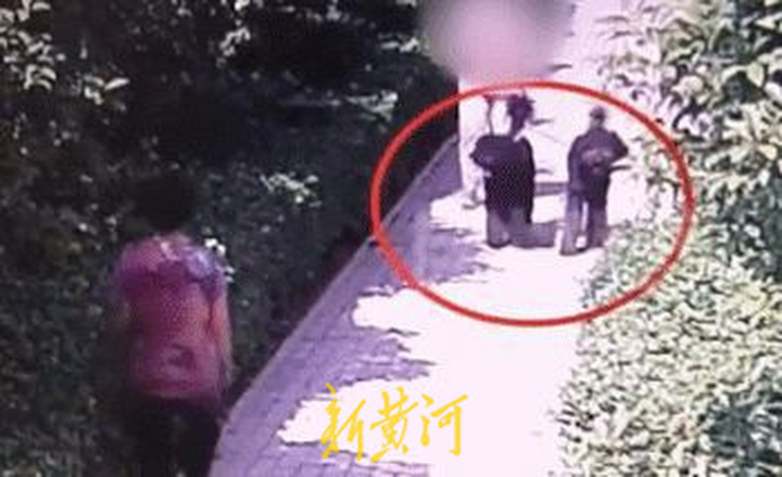 安阳狗咬人带出旧案:牵狗女子被控诈骗百万