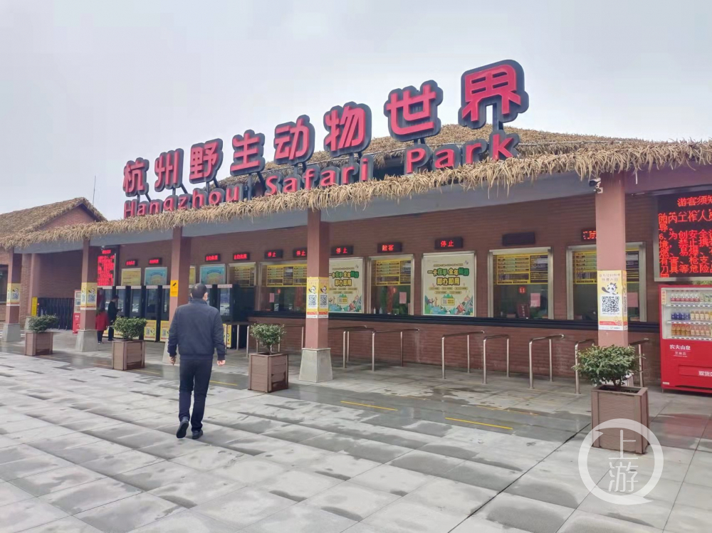 六人被判“出轨豹”后 杭州野生动物园重新