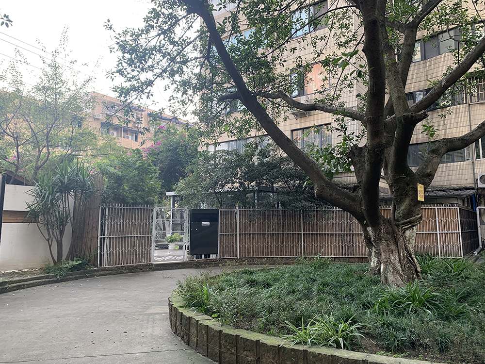 成都某小区“住改商”乱象举报:业委会撤销