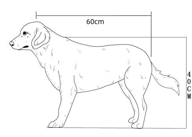 身高超标犬办不到证？邢台官方：严格执行标