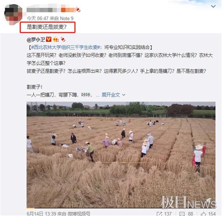 农学生涉嫌以收割小麦为名作秀 西北农林大