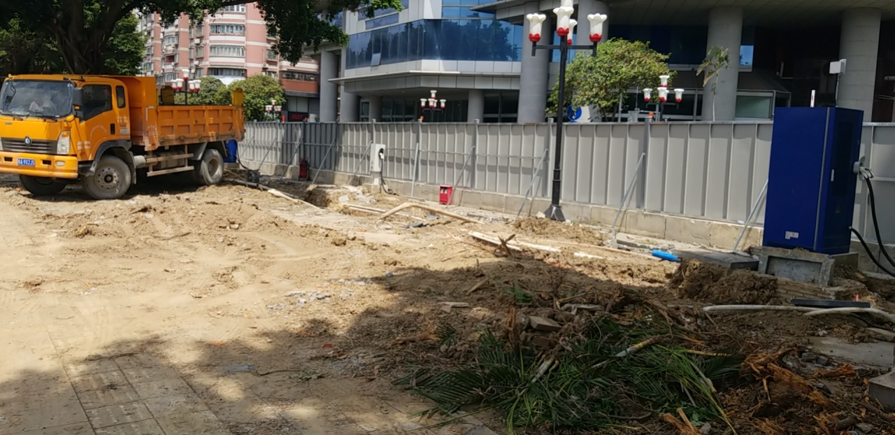 广州回应“珠江大榕树疑似被砍倒”:仅拆除