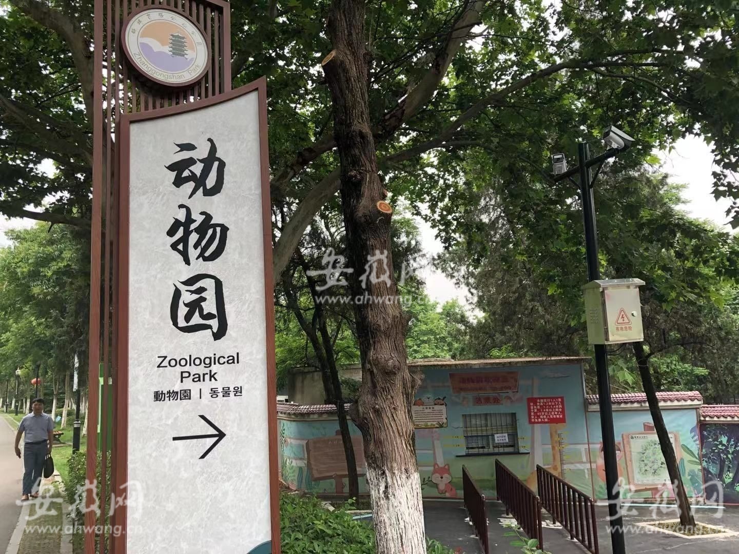 蚌埠动物园饲养员被老虎袭击致死 颈部、头