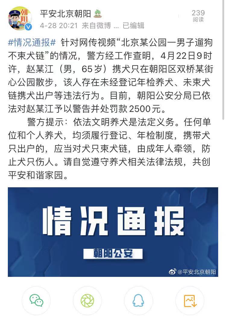 北京一名65岁男子在公园遛狗不捡屎不拴绳