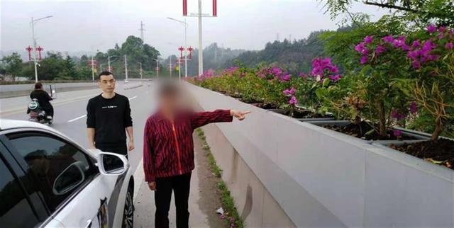 湖北女子偷挖四株城市景观花木三角梅，被警