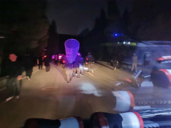 济南革命烈士陵园专项治理公园违规遛狗:连