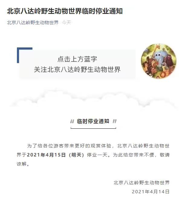 游客在猛兽区下车 八达岭野生动物园关闭一