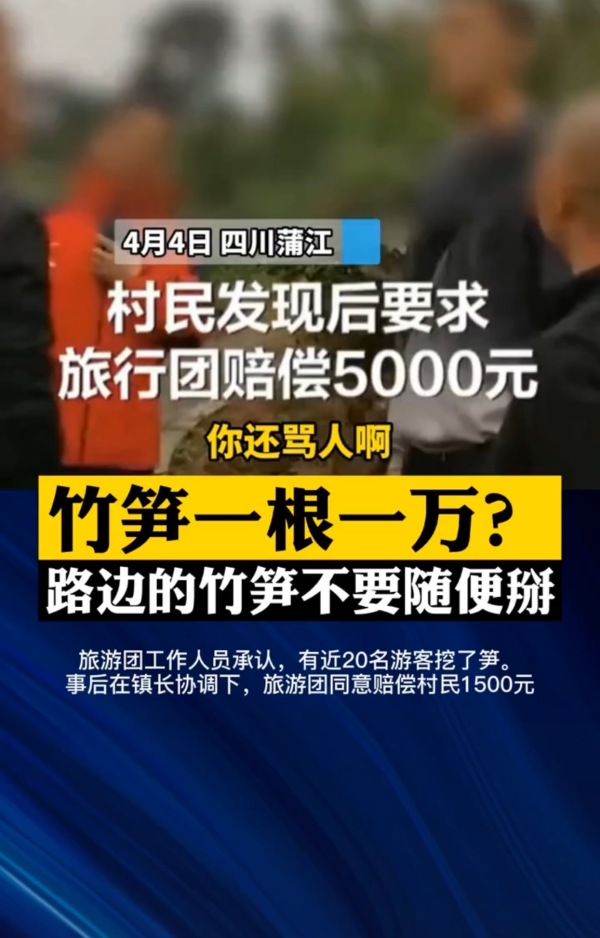 游客挖竹笋遭索赔1根1万元，律师：游客涉