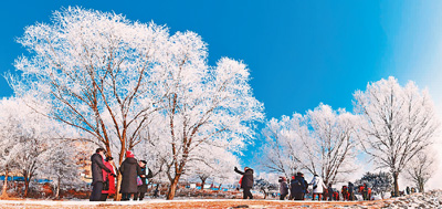 今冬冰雪季将迎游客二亿三千万人次 冰雪旅