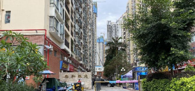 为解决住房问题 深圳将实施大规模的住房建