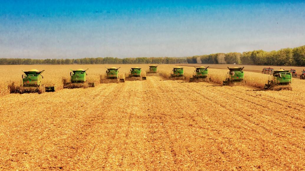 黑龙江：今年GDP目标增长6%左右 粮食