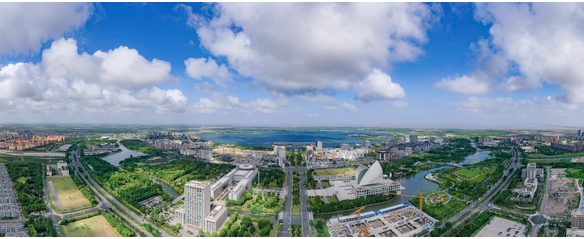 临港新片区：上半年仍保持15%增速，先进