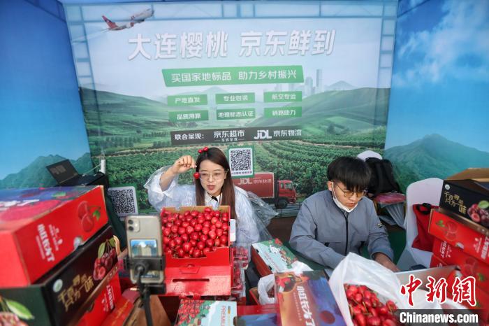 2022大连樱桃采摘直播季开始 预计产量