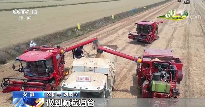 希望的田野里 盛夏时节:主产区小麦收获稳