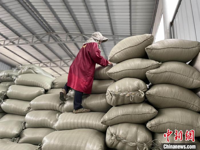 湖南大通湖“吃饭粮”守护者的“禾下”致富