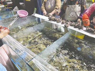 今年大闸蟹行情如何？量增价落，中等个头受