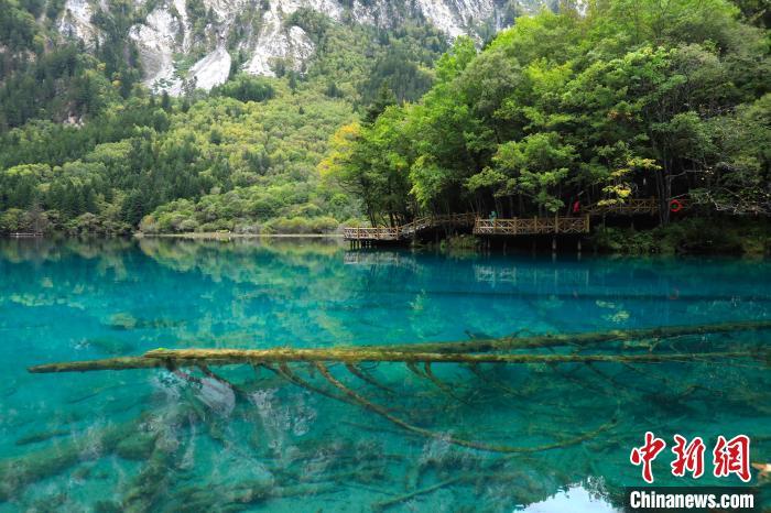 四川九寨沟景区恢复开放 日最大承载量4.